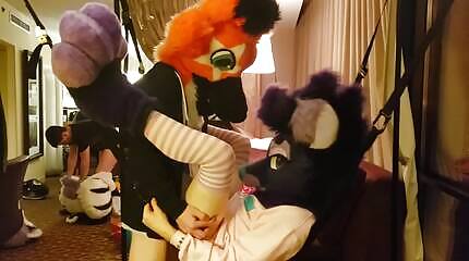 Star takes femboy fursuiter for a ride in sex sling [MFF 2019]
